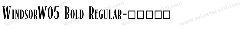 WindsorW05 Bold Regular字体转换